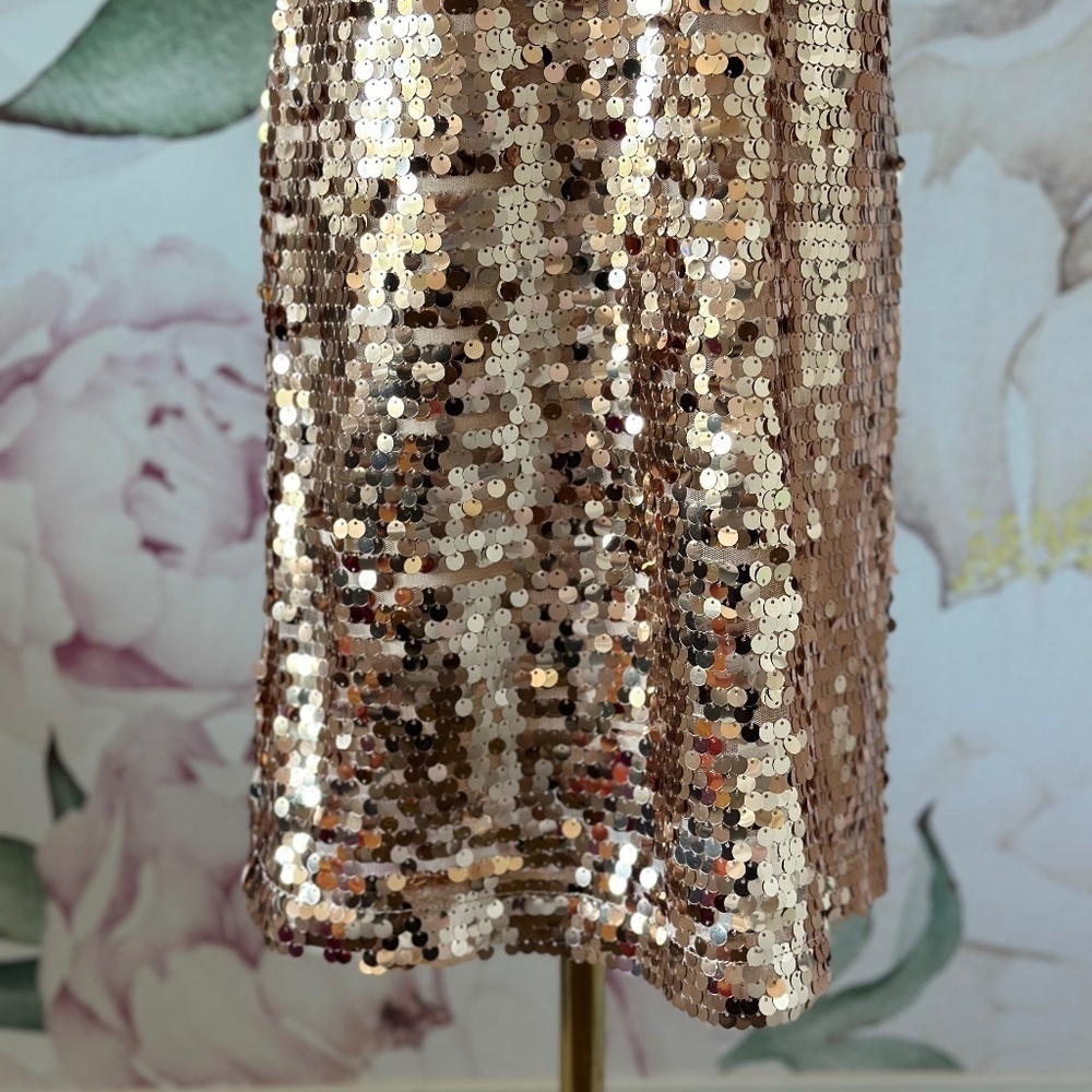 Red Dress Boutique Champagne Sequin Mini Women's Dress Size XS - Picture 12 of 15